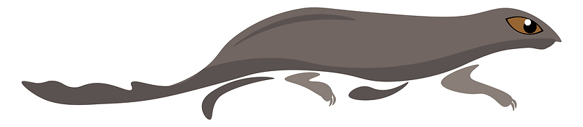 Image showing Clipart of the mammal mongoose vector or color illustration