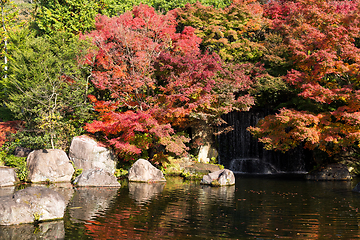 Image showing Autumn garden in Japan