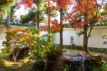 Image showing Japanese garden with red maple foliage 