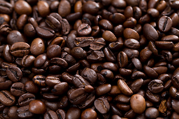 Image showing Roasted coffee bean