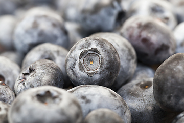 Image showing Blue ripe blueberries