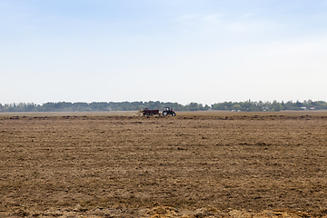 Image showing processing of agricultural fields