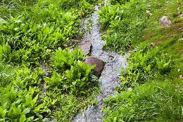 Image showing small stream, green grass