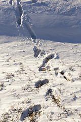 Image showing Winter season. Photo