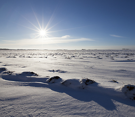 Image showing Snow in winter