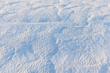 Image showing Photo of snow, close-up