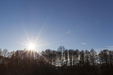 Image showing Snow in the winter