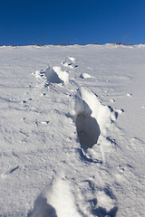 Image showing Winter time of the year, close-up