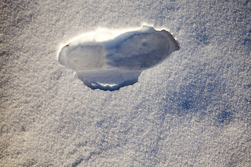 Image showing Ruts on a snow-covered road