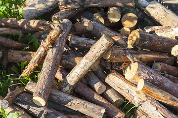 Image showing Pine logs, close-up