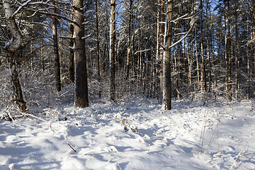 Image showing Snow drifts in winter