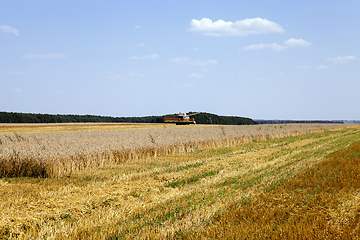 Image showing Harvester in the field