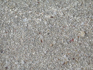 Image showing grey beach sand