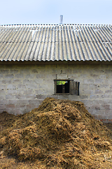 Image showing heap of the dung besides the shed