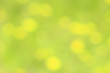 Image showing green natural abstraction with yellow spots