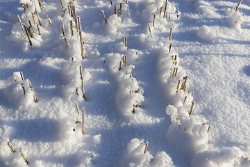 Image showing Snow drifts in winter