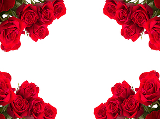 Image showing Red roses as frame on white background