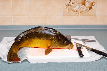 Image showing Fresh killed carp (Cyprinus carpio)