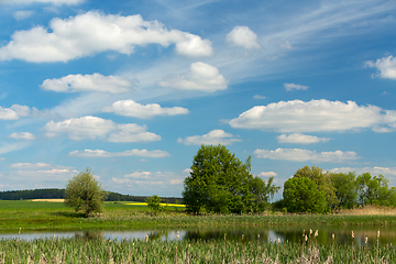 Image showing Beautiful spring landscape with small pond.