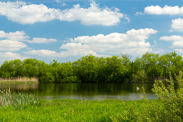 Image showing Beautiful spring landscape with small pond.