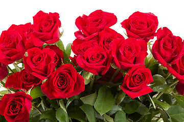 Image showing Red roses on white background