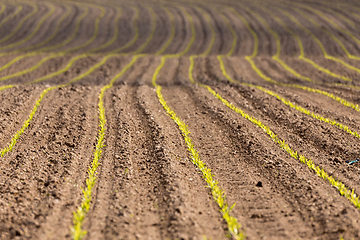 Image showing spring plowed field curves