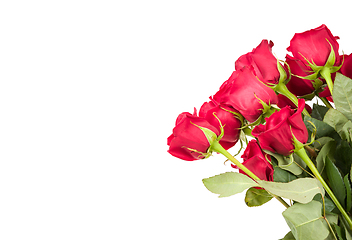 Image showing Red roses on white background