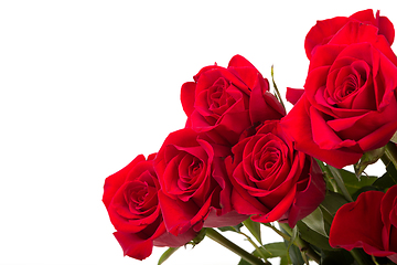 Image showing Red roses on white background