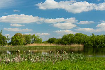 Image showing Beautiful spring landscape with small pond.