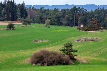 Image showing hunting tower in spring rural landscape