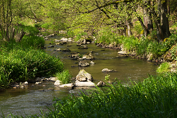 Image showing small mountain wild river in spring