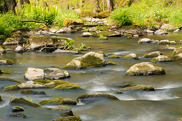 Image showing small mountain wild river in spring