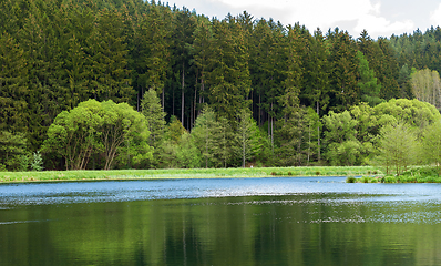 Image showing Beautiful spring landscape with small pond.