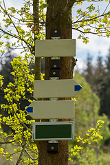 Image showing empty tourist signpost in forest