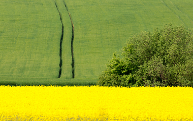 Image showing Beautiful spring rural landscape