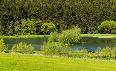 Image showing Beautiful spring landscape with small pond.