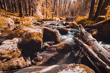 Image showing small mountain wild river in spring