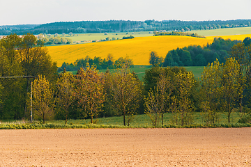 Image showing Beautiful spring rural landscape