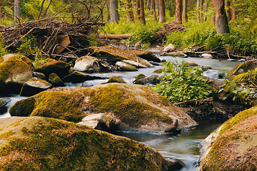 Image showing small mountain wild river in spring