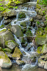 Image showing Falls on the small creek in spring forest