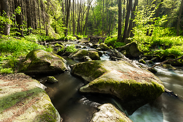 Image showing small mountain wild river in spring