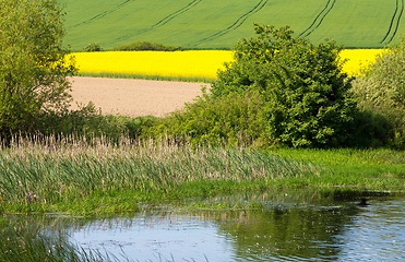 Image showing Beautiful spring landscape with small pond.