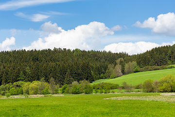 Image showing Beautiful spring rural landscape