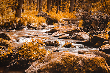 Image showing small mountain wild river in spring