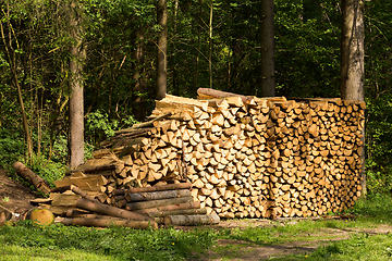 Image showing Preparation of firewood for the winter.