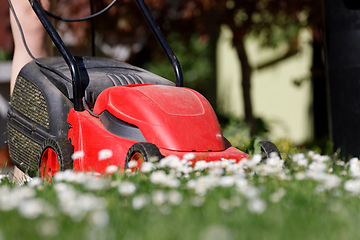 Image showing lawnmower on green grass