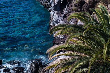 Image showing beautiful view on blue ocean water and palm tree