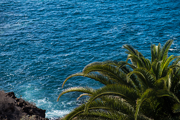 Image showing beautiful view on blue ocean water and palm tree