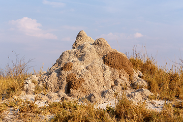 Image showing termite mound in Africa