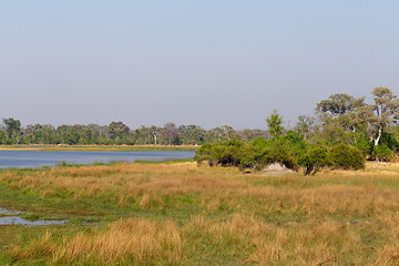 Image showing Okavango detlta swamps, Botswana